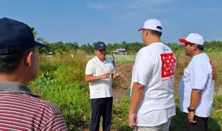 Kemarau Ekstrem dan Embung Bocor, Sawah di Bangka Gagal Panen