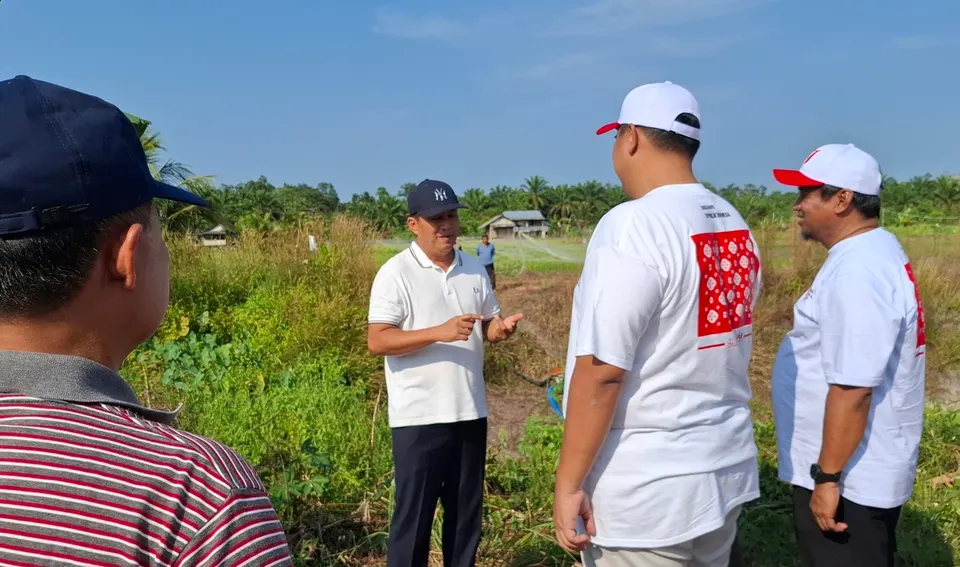 Kemarau Ekstrem dan Embung Bocor, Sawah di Bangka Gagal Panen
