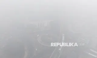 Ekonom, Biaya Pencegahan Karhutla Lebih Kecil Dibandingkan Kerugian Ekonomi