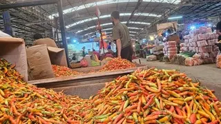 Harga Cabai Rawit Merah Naik Tajam, Nyaris Menyentuh Rp 60 Ribu per Kilogram