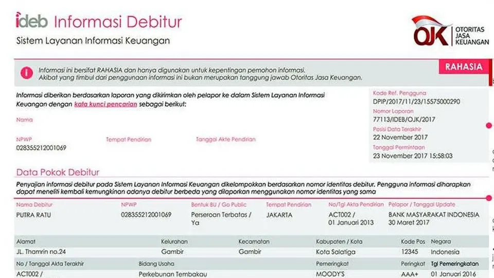 OJK Tegaskan Tidak Ada Penghapusan Instan Riwayat Kredit di SLIK