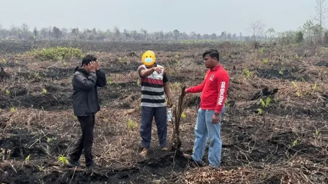 Polres Bengkalis Ungkap Lahan Hutan Terbakar di Riau Diduga Dialihfungsikan Jadi Kebun Sawit
