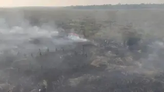 Kemenhut Sanksi 6 Perusahaan Buntut Kebakaran Hutan di Kalimantan