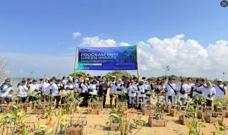 PNM Tanam Puluhan Ribu Mangrove demi Amankan Ekonomi Warga Pesisir
