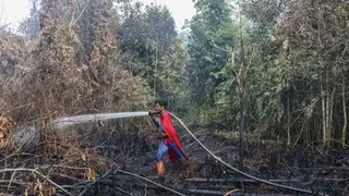 Aksi Remaja Berkostum Superman Ikut Padamkan Kebakaran Lahan Gambut di Palangkaraya