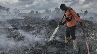 Pemkab Kotawaringin Barat Perpanjang Status Tanggap Darurat Karhutla