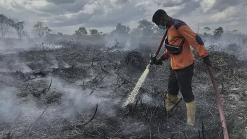 Pemkab Kotawaringin Barat Perpanjang Status Tanggap Darurat Karhutla