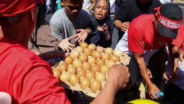 Kementan Beber Jurus Lindungi Peternak Rakyat dan Jaga Harga Telur