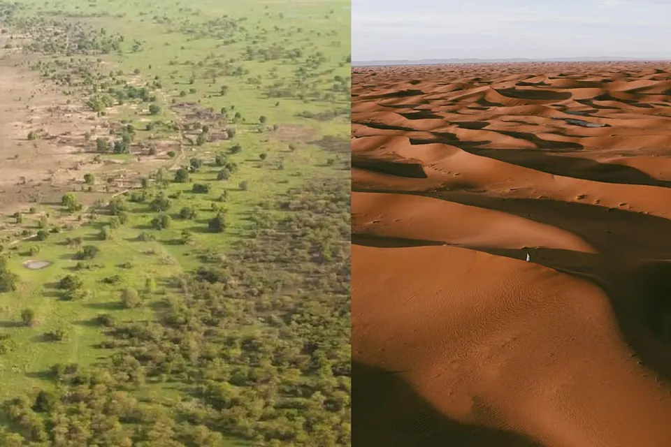 Sahara Dulu Bukan Gurun, Melainkan Rimba dan Aliran Sungai Purba
