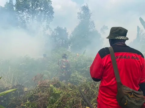 BNPB Siapkan Operasi Modifikasi Cuaca untuk Tangani Karhutla di Kalimantan dan Sumatera