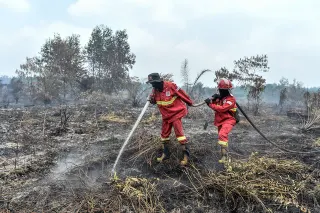 Petugas Manggala Agni Padamkan Kebakaran Lahan Gambut di Tanjung Jabung Timur