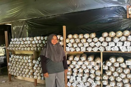 Tak Ingin Jamur Terbuang, Astuti Rintis Usaha Olahan hingga Pimpin Bank Sampah
