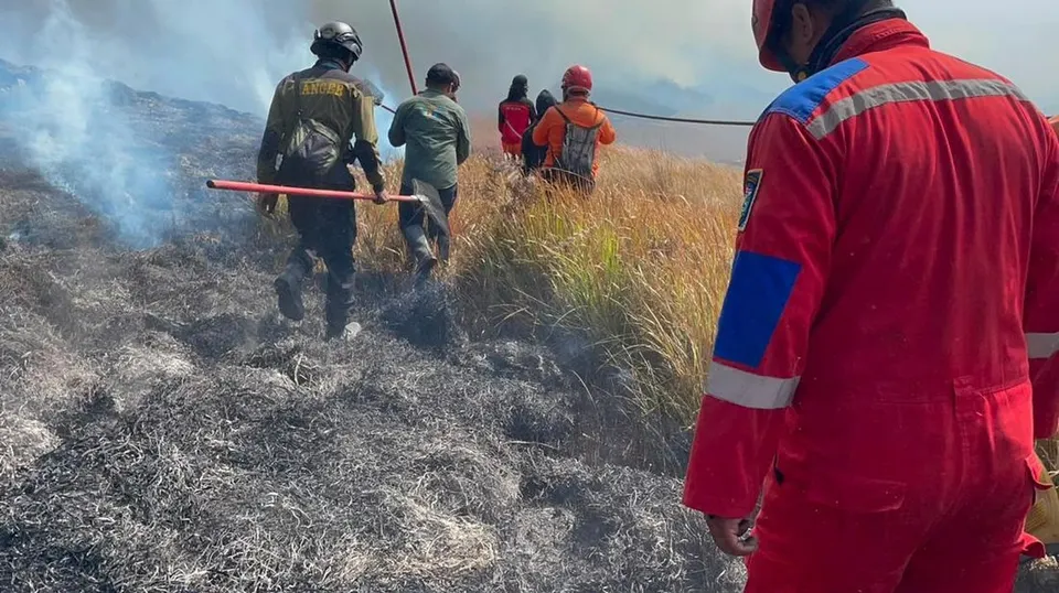 Pakar Ungkap Faktor Penyebab Kebakaran Gunung Bromo Sulit Dipadamkan