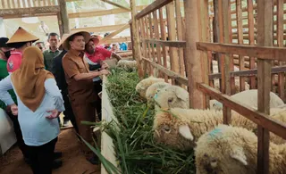 Pemprov Jateng Ubah Lahan Tidur Belasan Tahun Jadi Produktif Melalui Program Revola