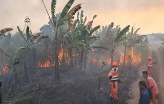 Kasus ISPA di Kalsel Tembus 7.000, Warga Diminta Waspada Kabut Asap