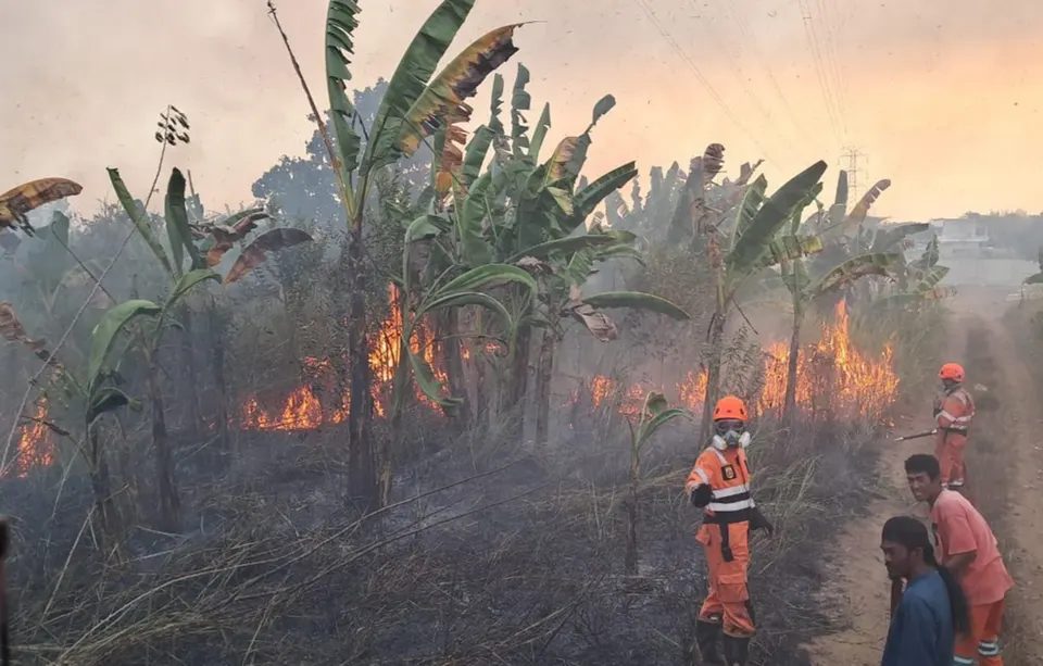 Kasus ISPA di Kalsel Tembus 7.000, Warga Diminta Waspada Kabut Asap