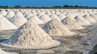 Pemerintah Perketat Aturan Impor Garam Guna Dorong Penyerapan Produk Lokal