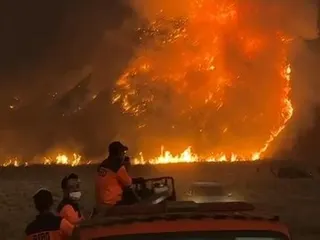 Kebakaran Hutan Meluas, Kawasan Wisata Gunung Bromo Ditutup Total dari 4 Pintu Masuk