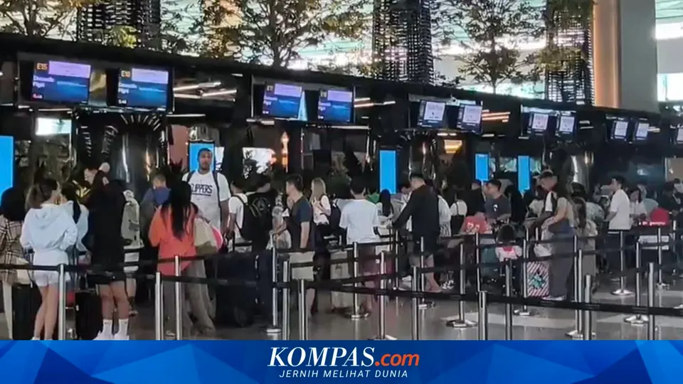 Aturan Pembatasan Barang Bawaan Penumpang Luar Negeri Bea Cukai, Belajar dari Kasus Kartu Pokemon