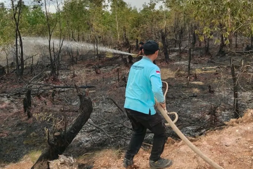 Tim Gabungan Kendalikan Kebakaran Hutan dan Lahan Seluas 12,5 Hektare di Bengkalis