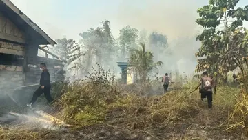 BMKG Deteksi 1.923 Titik Panas di Papua Tengah, Terbanyak di Nabire