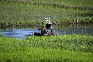 Petrokimia Gresik Hadirkan Inovasi GladiAgro untuk Pulihkan Kesuburan Tanah Pertanian