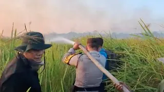 Kebakaran Lahan di Way Kambas Lampung Padam, 200 Personel Gabungan Dikerahkan