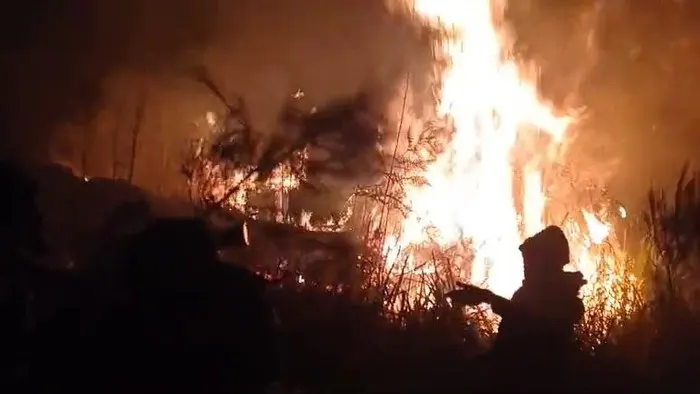 Kebakaran di Gunung Arjuno-Welirang, 334 Hektare Lahan Hangus