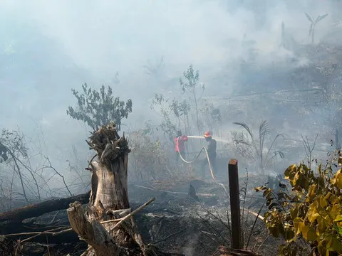 Kabut Asap Imbas Karhutla, Bupati Berau Terapkan Belajar di Rumah 24-26 Agustus