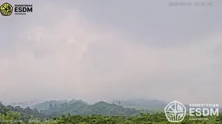 Awan Panas Guguran Picu Kebakaran Hutan di Kawasan Taman Nasional Gunung Merapi