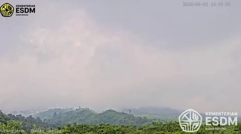 Awan Panas Guguran Picu Kebakaran Hutan di Kawasan Taman Nasional Gunung Merapi