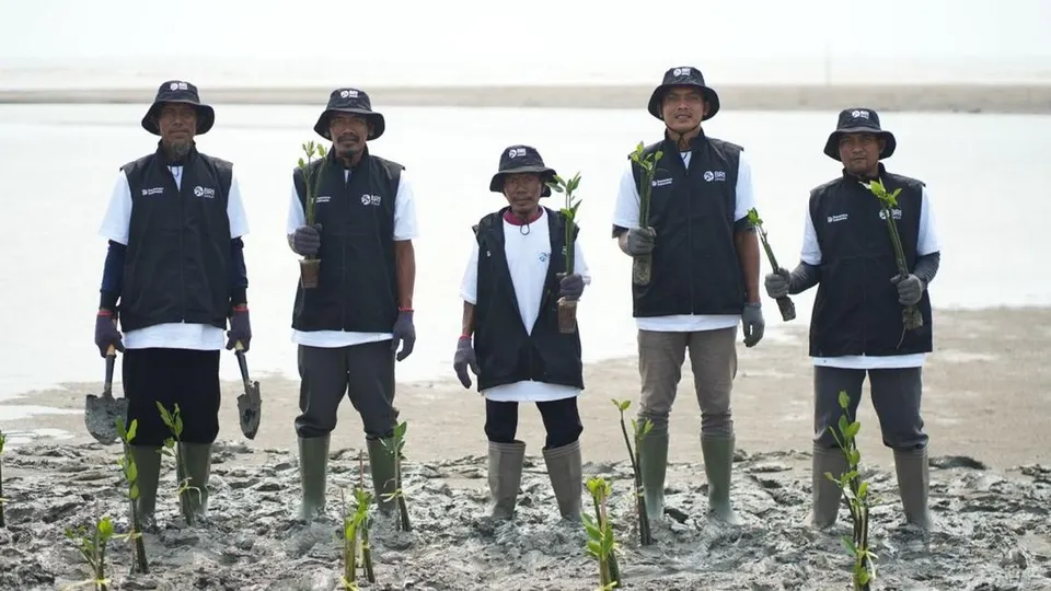Kolaborasi Warga Karawang dan BRI Tanam Puluhan Ribu Mangrove demi Cegah Abrasi