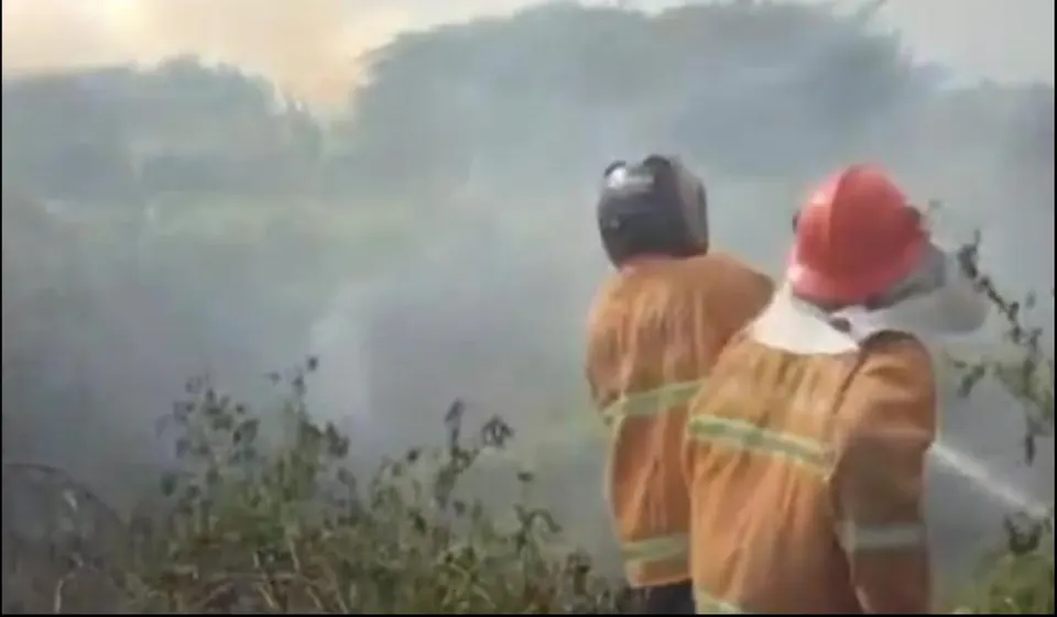 Kebakaran Lahan 1,7 Hektare di Kedawung Cirebon Diduga akibat Puntung Rokok