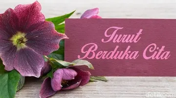 Mantan Duta Besar RI untuk Mesir Bachtiar Aly Berpulang