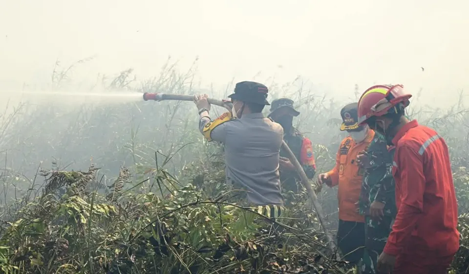 Kebakaran Lahan Gambut di Penyangga TNBS Jambi Berhasil Dikendalikan
