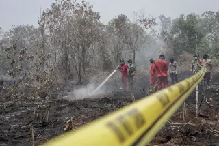 Bareskrim Polri Tetapkan 72 Tersangka Perorangan Kasus Karhutla