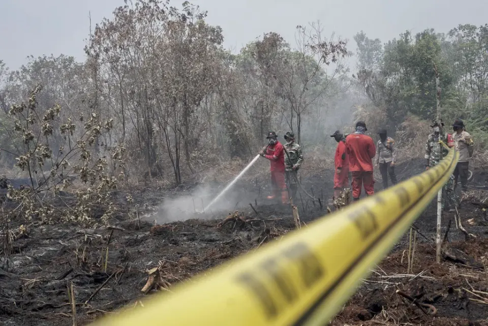 Bareskrim Polri Tetapkan 72 Tersangka Perorangan Kasus Karhutla