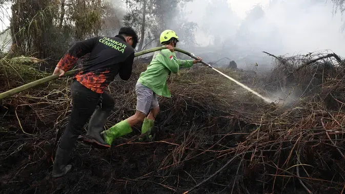 Kemenkes, 3 Juta Orang Terpapar Asap Kebakaran Hutan dan Lahan