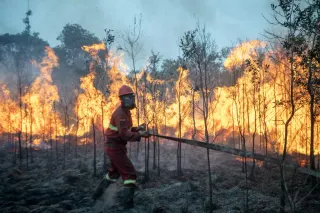 Bareskrim Polri, Mayoritas Karhutla Sengaja Dipicu untuk Buka Lahan Sawit
