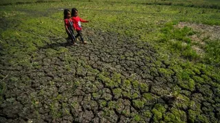 Kekeringan di Gunungkidul, Warga Dusun Kemesu Terpaksa Jual Ternak demi Beli Air Bersih