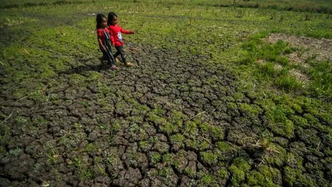 Kekeringan di Gunungkidul, Warga Dusun Kemesu Terpaksa Jual Ternak demi Beli Air Bersih