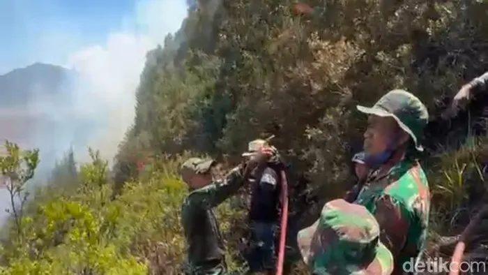 172 Pendaki Gunung Semeru Dievakuasi akibat Kebakaran di Blok Ranu Kembang