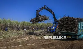Indonesia Targetkan Swasembada Gula dan Kedelai Lewat Panen Raya Serentak