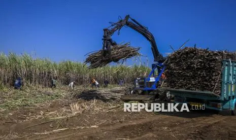 Indonesia Targetkan Swasembada Gula dan Kedelai Lewat Panen Raya Serentak