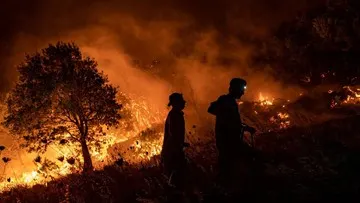 Kebakaran Melanda 30 Hektare Kawasan Taman Nasional Gunung Rinjani