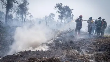 5.000 ASN Kementerian Kehutanan Dikerahkan Tangani Karhutla di Enam Provinsi