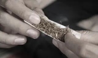 Tantangan Besar Mengubah Genetika Nikotin Tembakau Indonesia