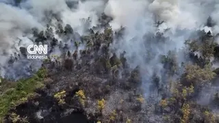 Kabut Asap Selimuti Palangka Raya, Warga Alami Batuk Parah