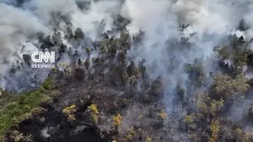 Kabut Asap Selimuti Palangka Raya, Warga Alami Batuk Parah