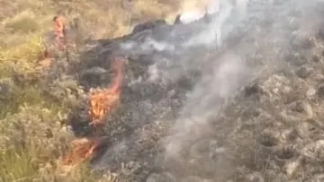 Karhutla di Gunung Bromo Meluas hingga 899 Hektare, Pemadaman Hadapi Kendala Cuaca dan Sumber Air